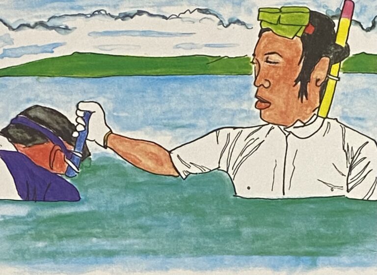 水曜どうでしょう 激闘 西表島 第二夜 クマノミ捕りを解説 どうでしょう藩士への道